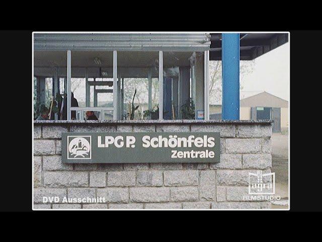 LPG Pflanzenproduktion Schönfels DVD Nr.29 ( Filmausschnitt )