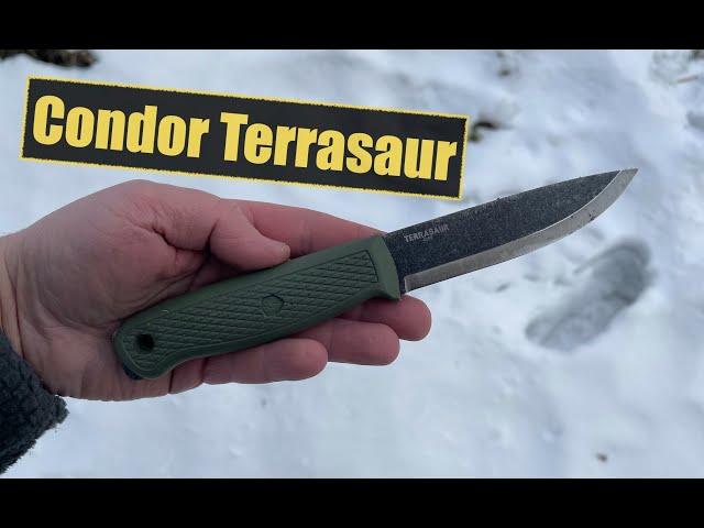 Condor Terrasaur im Test - erster Eindruck