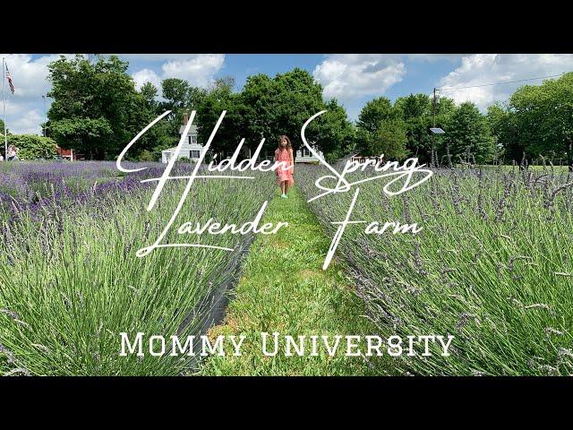 Hidden Spring Lavender Farm in Skillman NJ