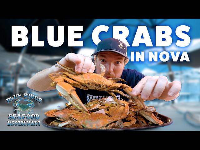 Blue Crabs In Northern Virginia at Blue Ridge Seafood Restaurant