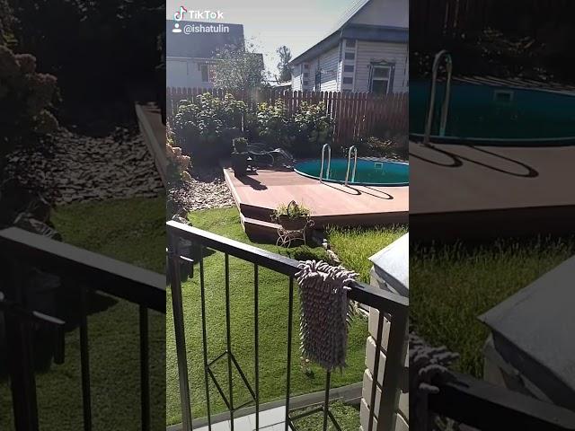 Райски уголок#бассеин #беседка,#мангал