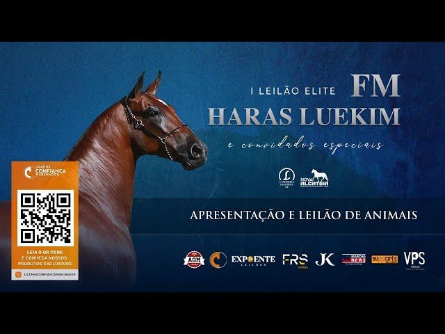 Leilão de Animais - I Leilão Elite Haras Luekim