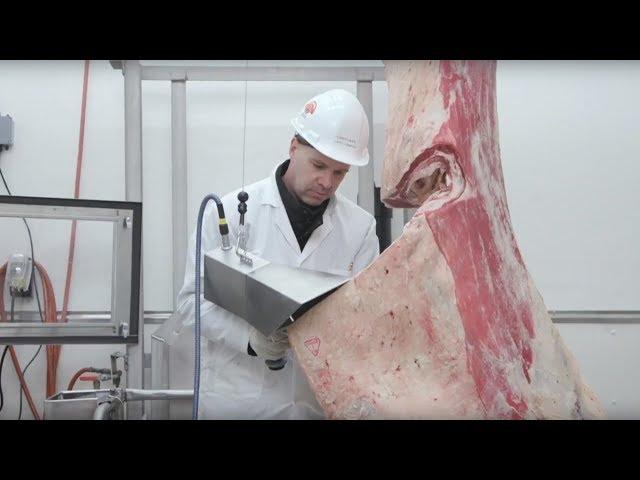 Carcass Grading - 2017 National Beef Quality Audit Results