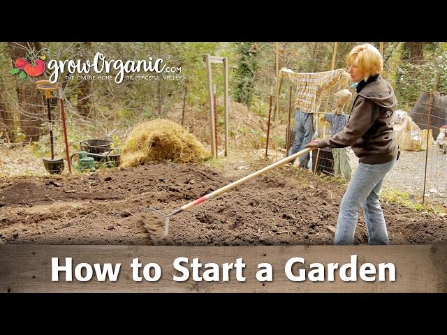 How to Start a Garden