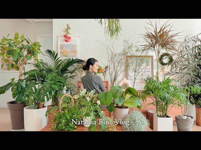 7 Indoor Plants that are easy to grow but pretty | Relaxing Plant Tour My houseplant collection