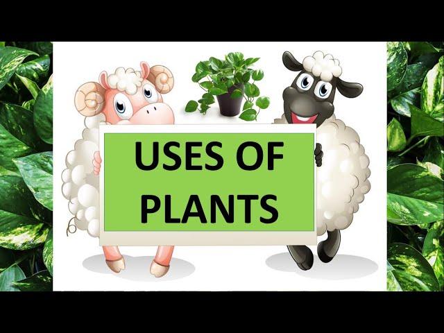 USES OF PLANTS  || SCIENCE EDUCATIONAL VIDEO FOR KIDS