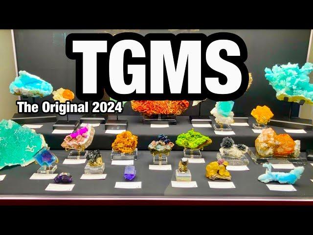 Tucson Gem & Mineral Show 2024 The Main Event! part1