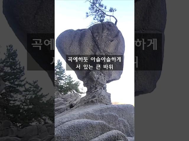 자연이 만든 신기한 서낭바위 복어바위 /세상에 이런 바위가..