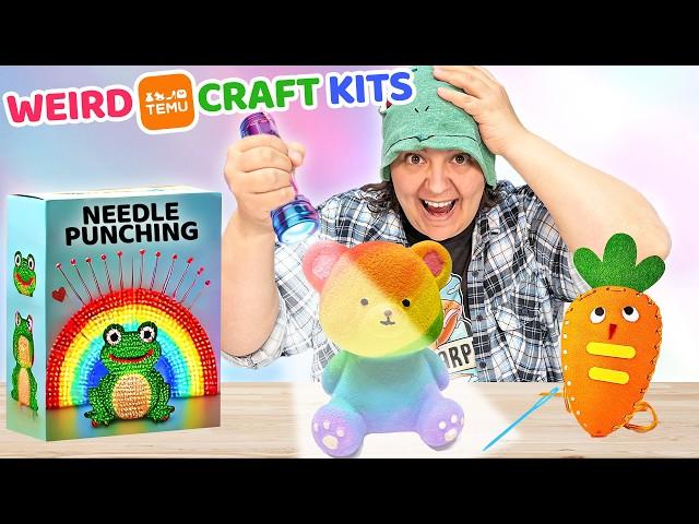 The DISASTER Side Of Temu Craft Kits