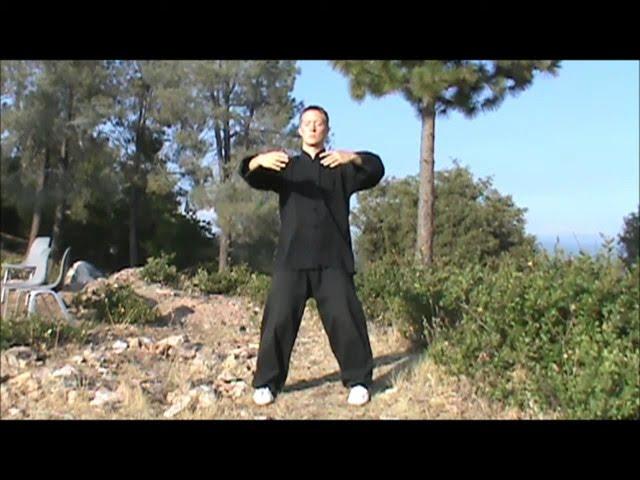 30 Min. Daily Standing Meditation (Zhan Zhuang Qigong) Follow-Along