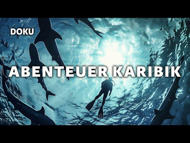 Caribbean Adventure – Diving with the Sharks (Shark Documentary | Full Animal Documentary | German)