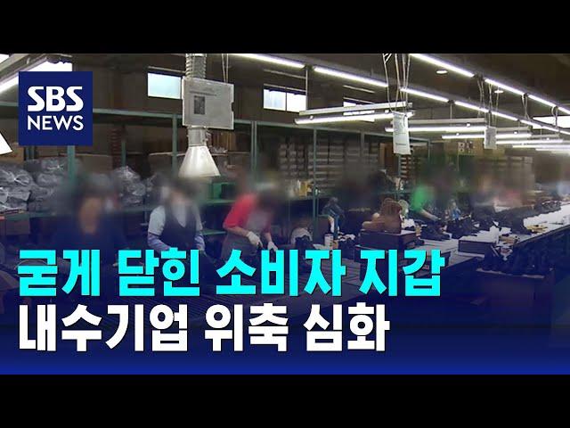 지갑 닫은 소비자들…경기 부진 내수기업 위축 심화 / SBS