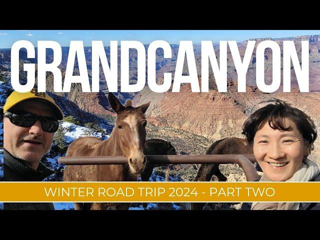 Two Day GRAND CANYON Road Trip Adventure!  Is February the Best Time to Visit?