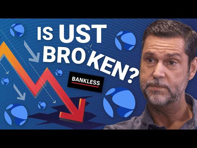 Raoul Pal explains the UST (Terra) MELTDOWN