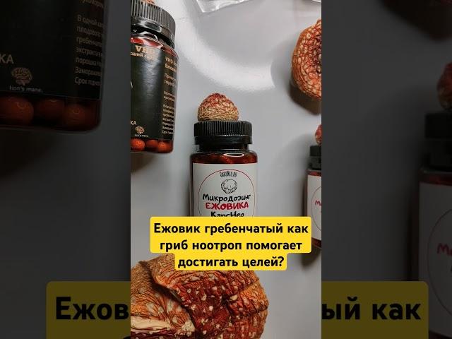 Ежовик гребенчатый как гриб ноотроп помогает достигать целей? #ежовик #ноотропы #обзор #биохакинг