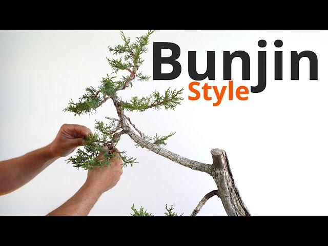 Bunjin style bonsai