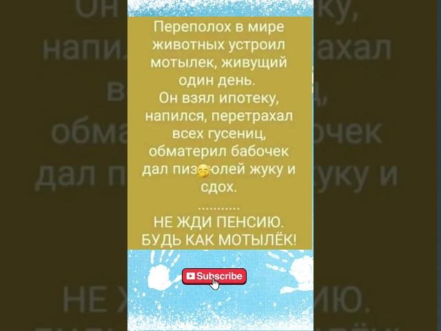 Юмор #позитив #прикол #мемы #анекдоты #смешно #смех #смешныевидео #юмор #тикток