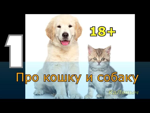18+ Про кошку и собаку 1 из 4
