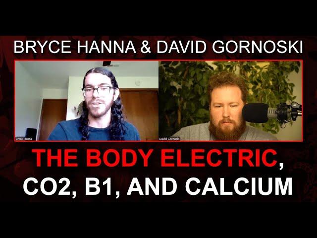 The Body Electric, Co2, B1, and Calcium w/ Bryce Hanna