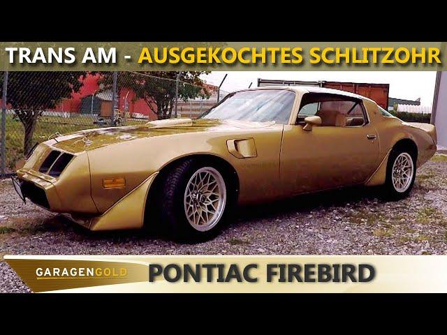 So ein ausgekochtes Schlitzohr - GaragenGOLD Pontiac Firebird Trans Am - Bandits Liebling in GOLD