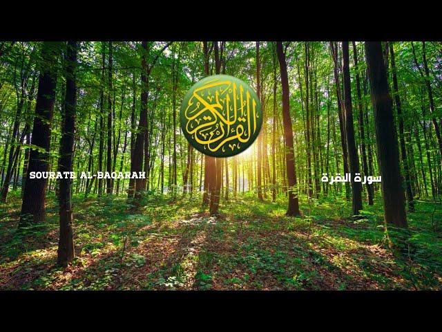 Sourate Al Baqarah (sans publicité - بدون إعلانات) Maher Al Muaeqly - Al islem - الاسلام YT