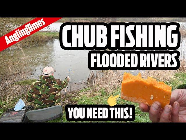 Catch more chub on flooded rivers with these fishing tips!