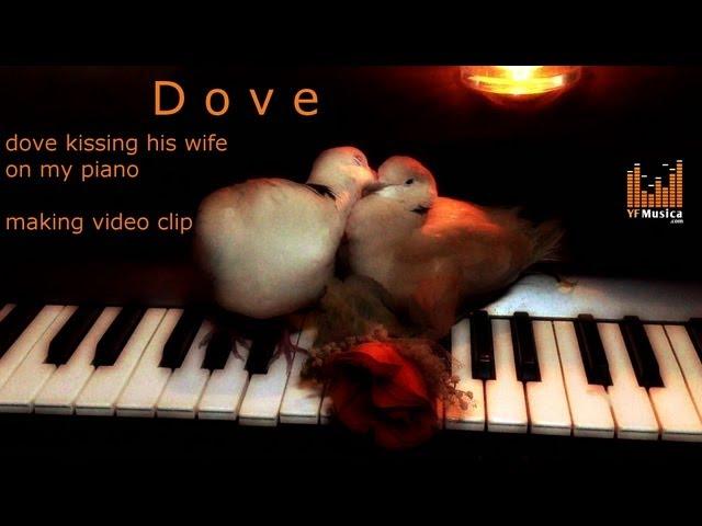 Dove - Romantic Piano - Yasser Farouk
