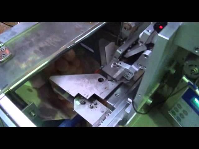 AMTEC VERTIwrap - VERTIwrap Net Clipping Machine for fruits, vegetables and industrial products