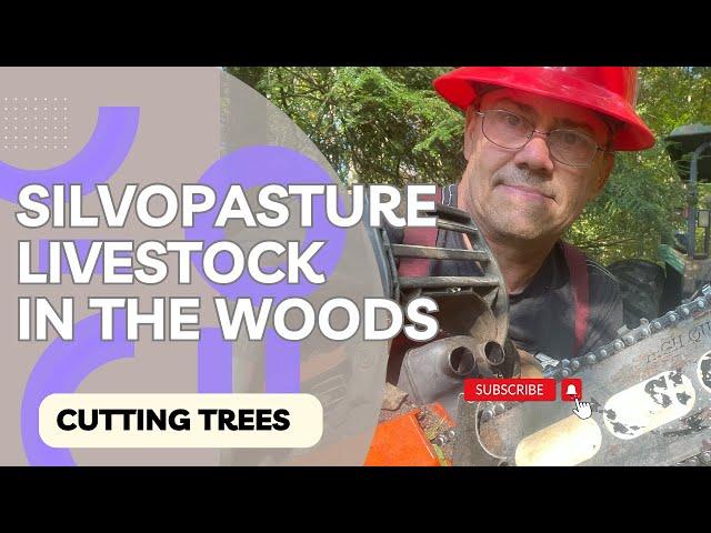 How To Raise Livestock In The Woods Using The Silvopasture Method, Including Cutting Firewood.