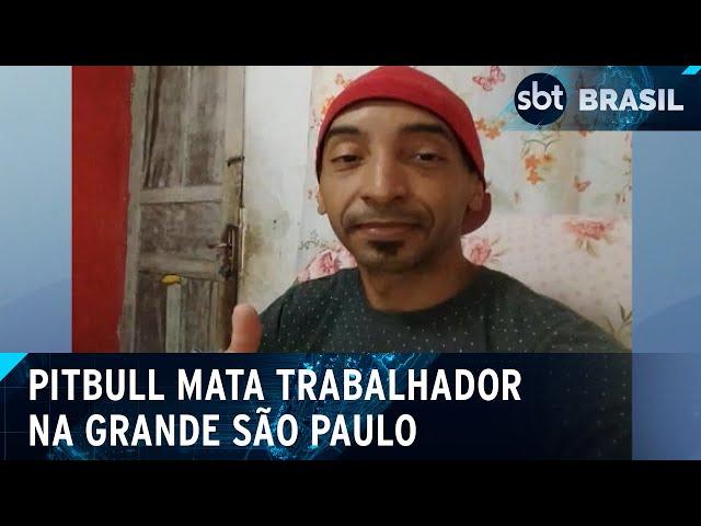 Pedreiro morre após ser atacado por pitbull em São Paulo | SBT Brasil (15/11/24)