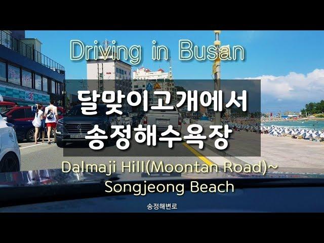 Driving in Busan/Korea/부산 달맞이길에서 송정해수욕장~기장까지/부산명소 드라이브