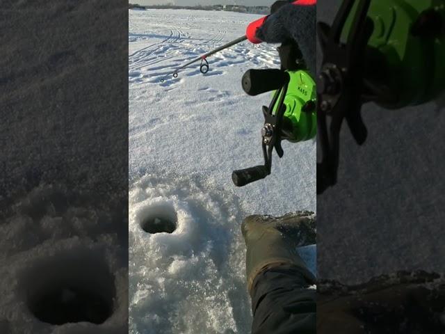 МУДРЫЕ СЛОВА ПРО РЫБАЛКУ ПОДПИШИСЬ #первыйлед2023 #fishing #рыбалка2023 #судакнавибы #лед #щука