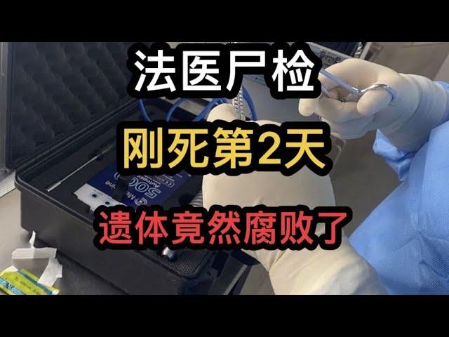 刚死第二天，#法医 尸检发现