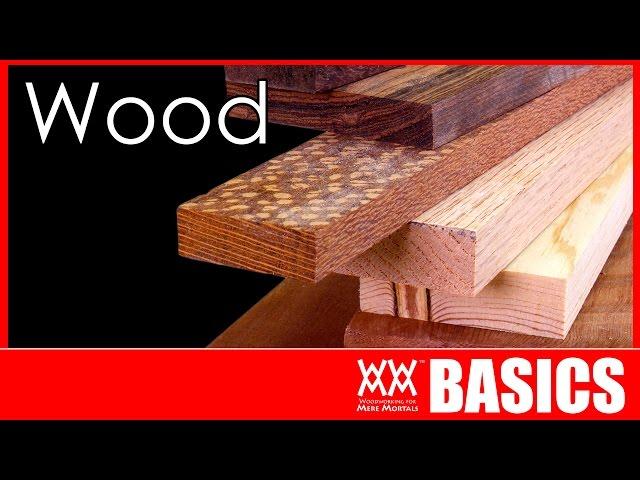 What Kind of Wood Should You Build With? | WOODWORKING BASICS