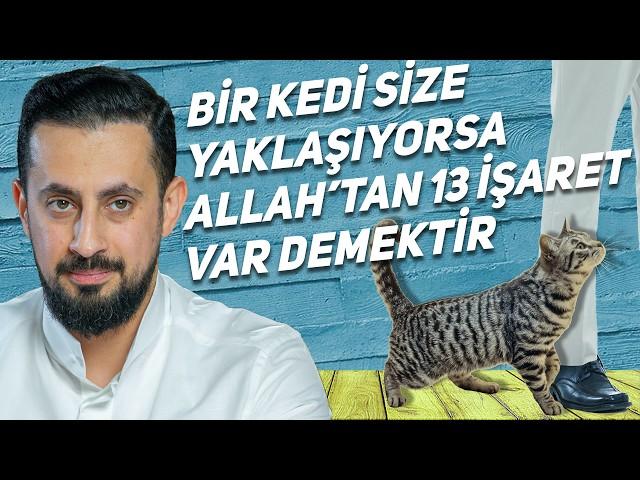 Bir Kedi Size Yaklaşıyorsa Allah'tan 13 İşaret Var Demektir -Nakış Aynası| Mehmet Yıldız@hayalhanem