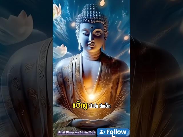 Lời Phật Dạy: Suy nghĩ quá nhiều khiến cuộc sống thêm phức tạp #loiphatday