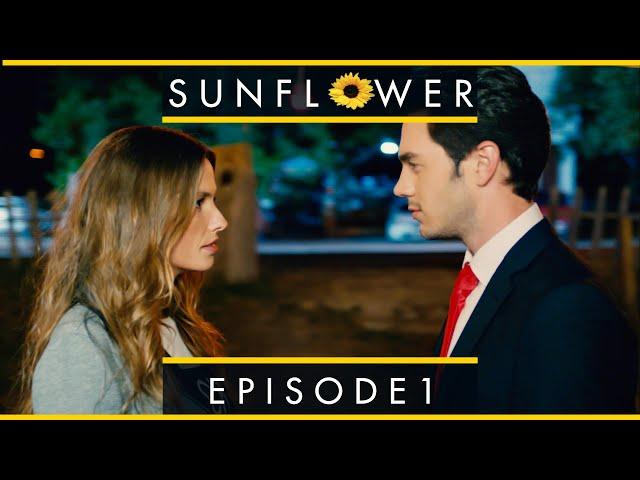 Sunflower - Episode 1