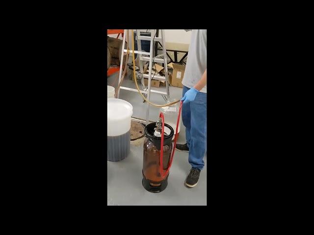 Filling a petainer keg with Mead