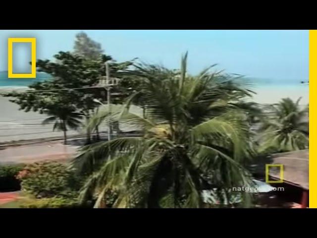 Tsunami Witness | National Geographic