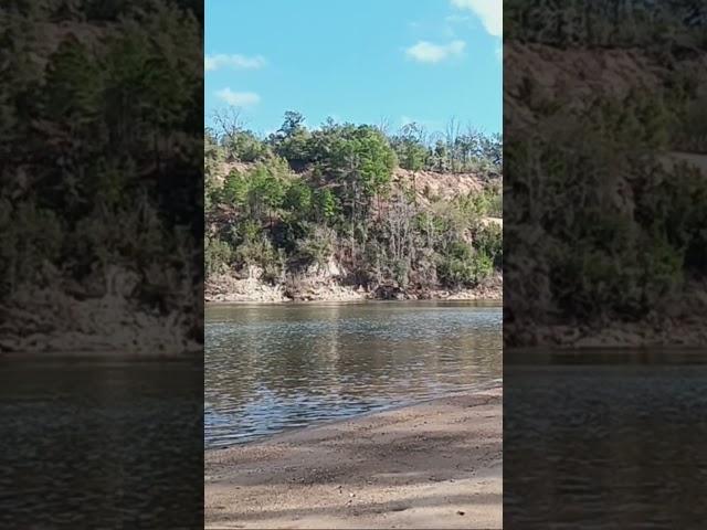 Apalachicola River #outdoors4adventure #camping #fishing #canoecamping #outdoorcamping