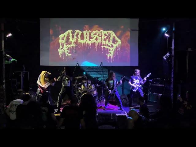 Avulsed  @Ciudad Frecuencia (Medellín, Colombia)