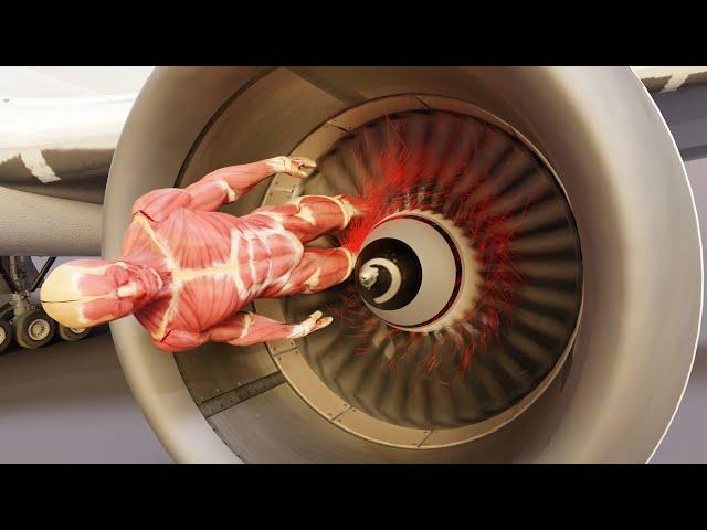 HUMAN BODY vs AIRPLANE ENGINE animation