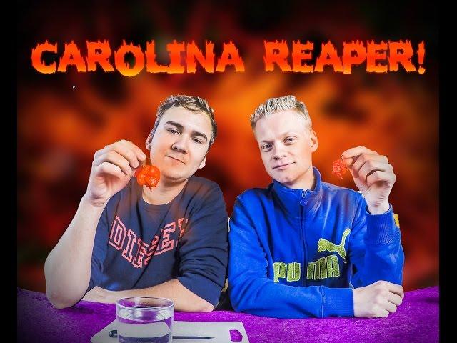 Rasmus, Matias og Carolina Reapere - Chilimus vs. Dalboe