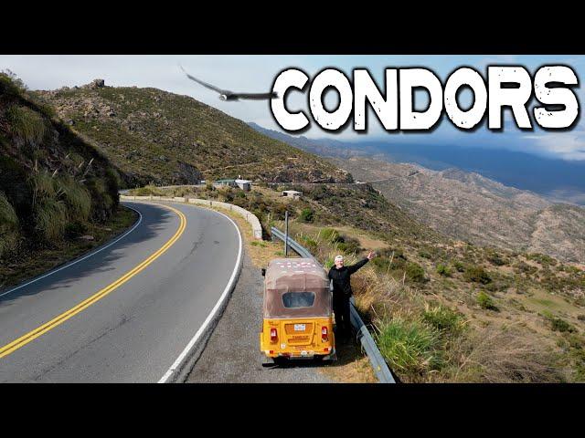 Driving Alongside Condors in the Mountains of Argentina!  | S1, EP31