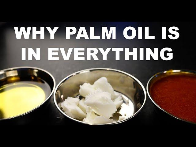 Why palm oil is in everything, and why that's bad