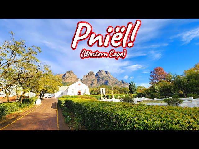 S1 – Ep 481 – Pniёl, Western Cape!