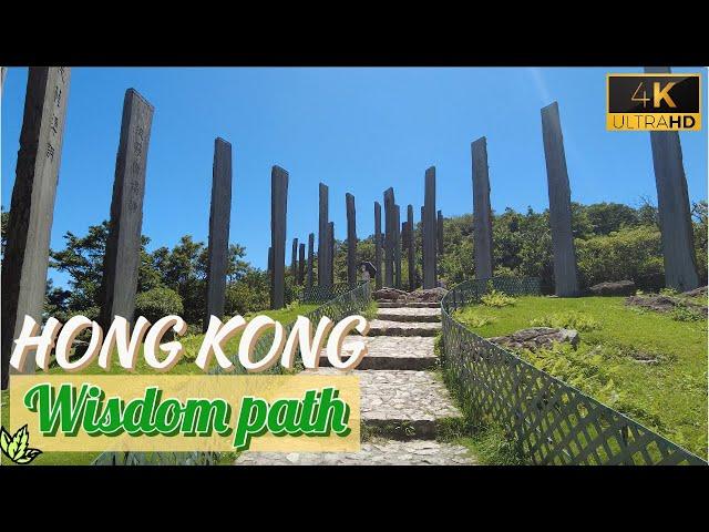 Hong Kong Walking Tour 4K - Wisdom Path 心經簡林 TungKung Ngong Ping Lantau 2022 Hiking Vlog