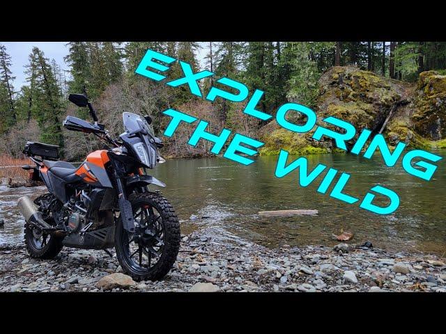 Solo Exploring in the Cascades on the KTM 390 Adventure