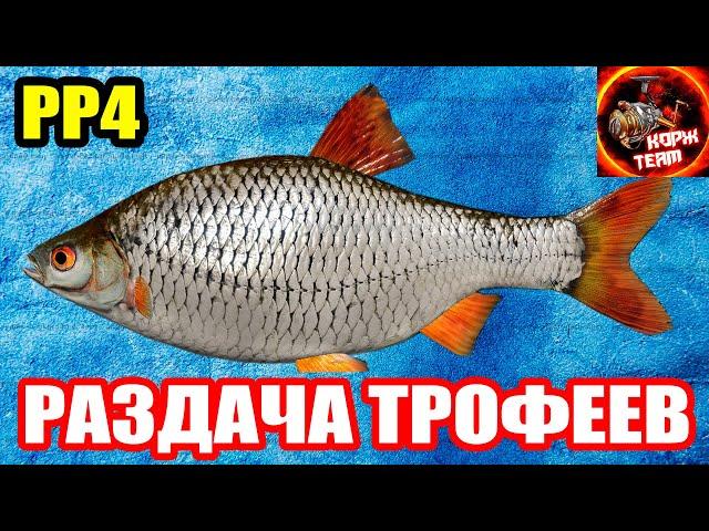 17 ТРОФЕЕВ за 1 ЧАС. Комариное 700 серы в ЧАС ● Русская Рыбалка 4 | РР4