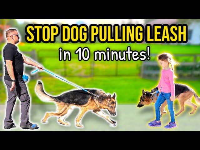 HOW TO STOP DOG PULLING ON LEASH - 10 minutes to "Perfect Walk" Guaranteed!